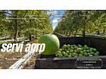 ServiAgroSpa